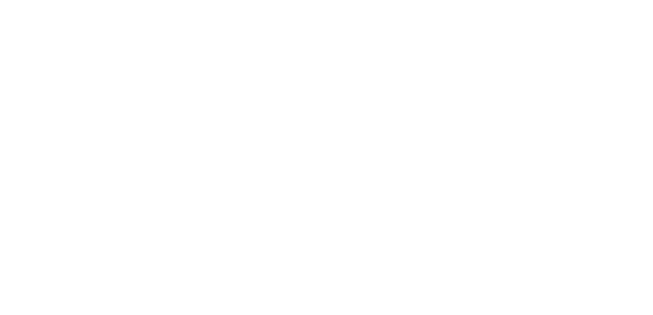 logo-lightec