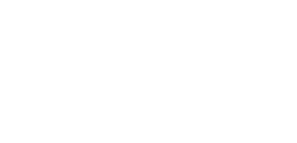 logo-sferoflex