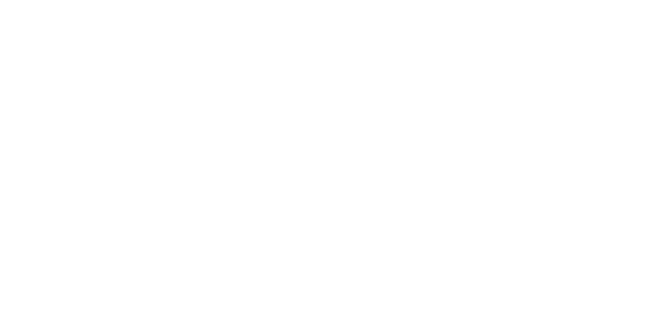 logo-stepper